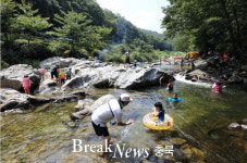 영동 물한계곡, ‘여름탈출’ 피서지 각광 