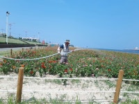 형산강 수변공원 화초류 폭염대비 생명의 관수