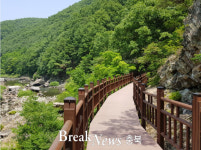 영동군, 황간 월류봉 둘레길 조성 마무리