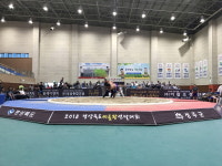 성주군, 경상북도 씨름왕 선발대회 개최