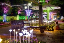 순천만국가정원 10월까지 야간 연장운영