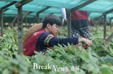 충북대 부속농장, 2학기 영농체험 활동 참가자 모집