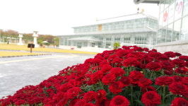 경주 동궁원, 가을여행주간 맞아 ‘주말 마술공연’개최