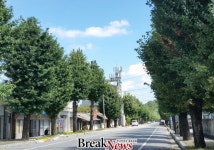 장성군, 성산마을 명품 은행나무길 ‘예쁘긴 한데...’