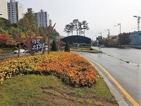 의왕시, 미세먼지 저감위한 도시숲 조성