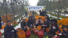 포항시농업기술센터 가을철 농촌일손돕기 나서