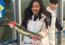 살아있는 연어 생태체험 하세요