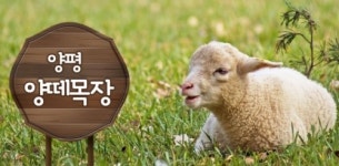 양평 연말모임장소 어디…용문산리조트펜션 등 눈길