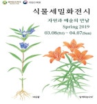 세종 베어트리파크, 봄 꽃 과 함께 식물세밀화 전시