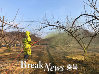 충주농기센터, 병해충 방제 현장지도반 운영
