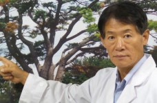 [현장 영상] 국내 개발 ‘재선충병 백신’ 무시당하는 사연