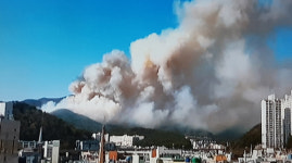 해운대구 운봉산불 20ha 소실 추정...현재 100% 진화 잔불 정리 중 
