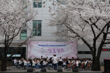 새로운 봄꽃의 명소 안동문화예술의전당