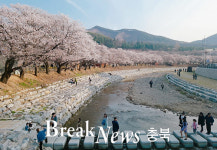 [르포·영상] 제35회 충주 수안보 온천제 인기