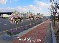 증평군, 미세먼지 줄이는 도시숲 경관 조성