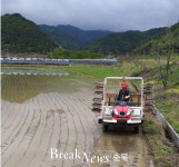 영동군, 상촌면 남기생 농가 2019년도 첫 모내기