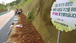여수 전라선 옛 철길 공원에 향기꽃밭 조성 눈길