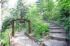 증평군, 좌구산 가는 추억 쌓는 낭만의 길 ‘인기’