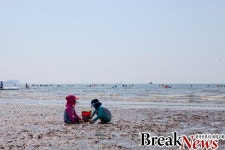 다음달 6일 춘장대해수욕장 개장