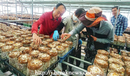 귀농‧귀촌 체험 첫 수확물 이웃사랑 승화