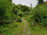 침대 접대한 제주도 김현주 도사님•••아주 멋진 동백정원에 사는 주인장