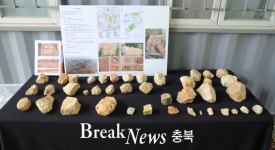 법인구석기랜드 | 증평 허브랜드 조성사업부지, 구석기 유물 280여점 출토