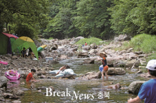 영동군, 무더위 날리는 ‘물한계곡’ 관광객 유혹