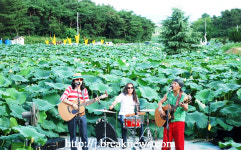 김제 하소백련축제 12일 개막