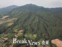 자작나무 명품숲 제천 박달재에 조성