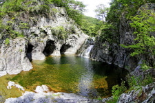 느낌과 쉼이 있는 ‘산소카페, 청송군’으로 휴가 오세요!