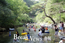 뼈 속까지 시원하게! 단양 청정계곡, 피서객 수↑
