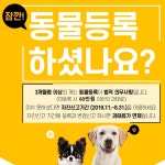 이천시, 반려견, 8월31일까지 동물등록 해주세요  