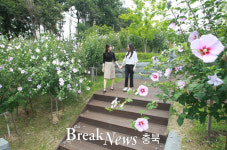 진천군, 충북도 무궁화 우수분화 품평회 금상 수상 