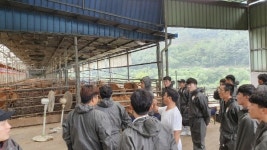 예천 한우산업은 청년농업인이 이끈다