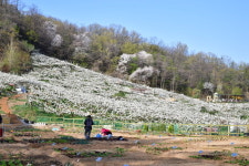 중랑구, 2020년 도시농업 복합공간 조성사업 대상지로 선정