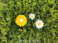 한국도자재단, 곤지암도자공원서 관람객 참여 이벤트