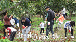 ‘제1회 매산마을 밤 이삭줍기 및 시골문화체험’