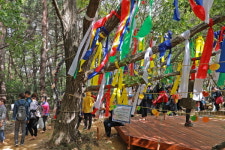 경주엑스포‘비움 명상 길’, 고즈넉한 휴식과 힐링을 경험 할 수 있어