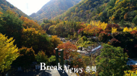 옥천군, 테마여행 10월에 가볼만 한 곳 ‘장령산’