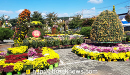 【포토】국화 향에 물든… 부안예술회관