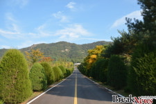 ‘땅 속의 다이아몬드’ 트러플 인공재배 연구