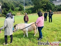 세종시교육청, 장애학생 승마체험 프로그램 운영