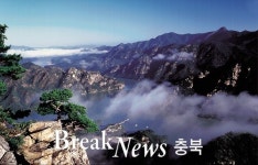 단양팔경(丹陽八景) 투어 인기