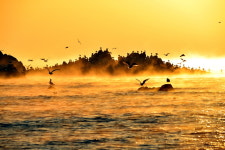 동해의 일출 명소 바로 여기…경주로 떠나는 해돋이 여행