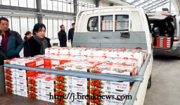 부안 스마트팜 딸기… 고소득 예상