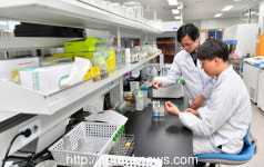 순창군 토종미생물 1종 특허 출원