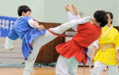 오룡기 택견고수전 오룡쟁주(五龍爭珠) 개최