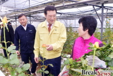 광주시, 지역 화훼농가 돕기 앞장선다