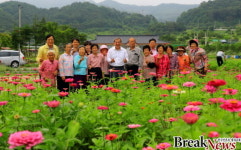 곡성군, 행복을 심는 마을 꽃길 사업 올해도 활짝