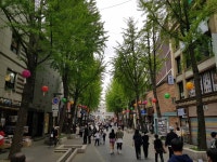 [현지보고]서울 종로구 인사동 거리인파 정상회복